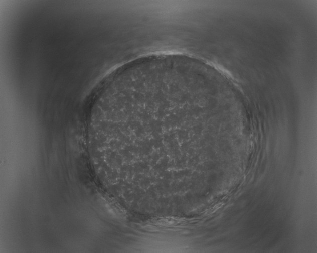 X0000082941255200702222237