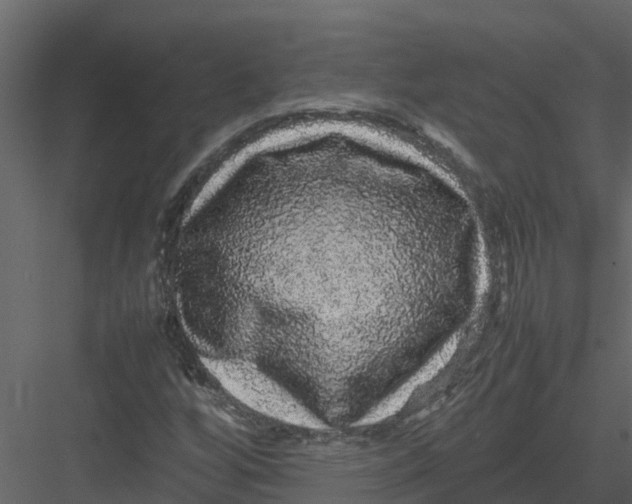 X0000082941256200702222237