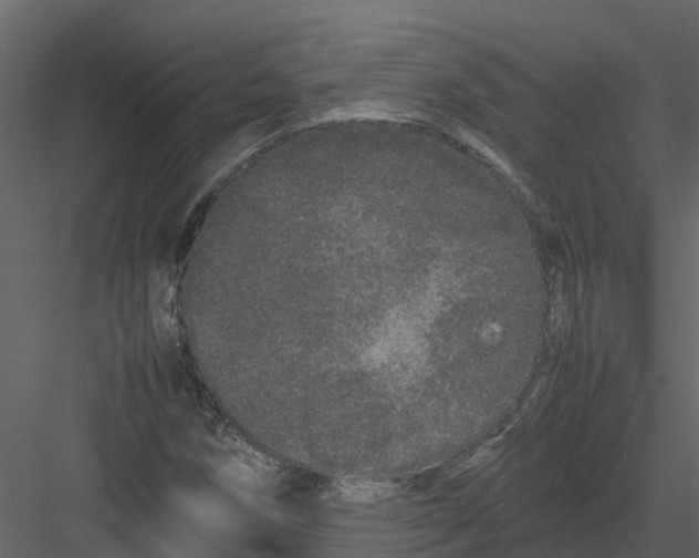 X0000082941258200702222237