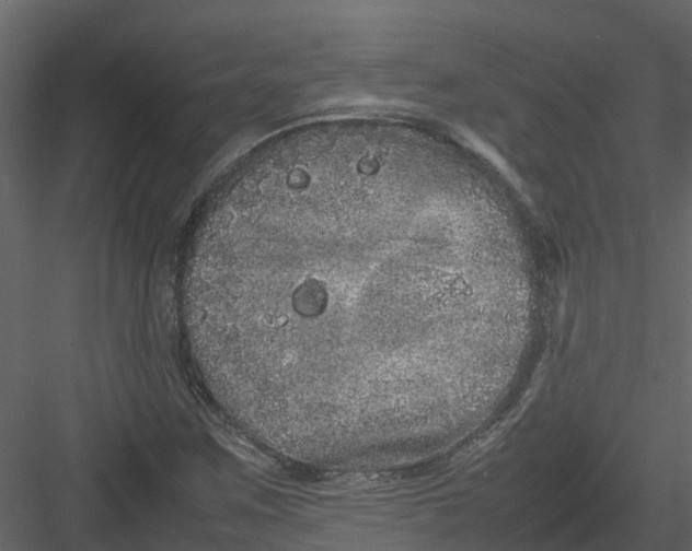 X0000082941259200702222237