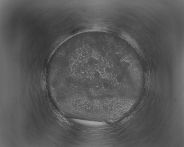 X0000082941260200702222237