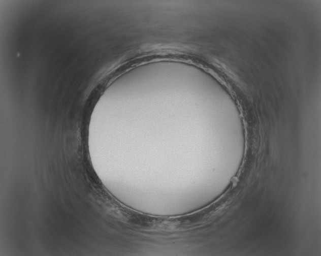 X0000082941261200702222237