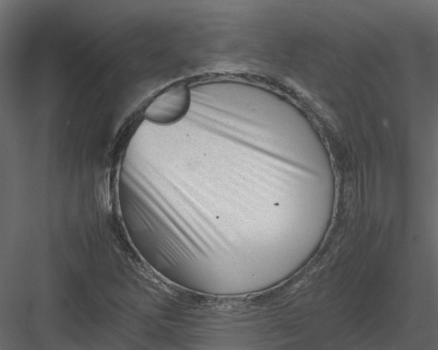 X0000082941262200702222237