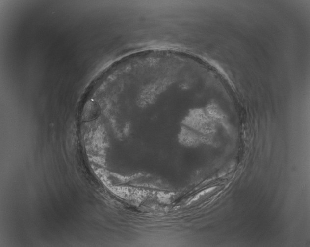 X0000082941263200702222237