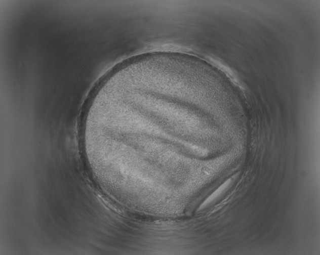 X0000082941264200702222237