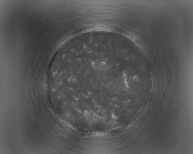 X0000082941266200702222237