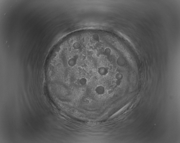 X0000082941267200702222237