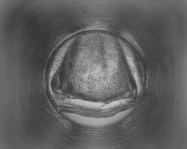 X0000082941268200702222237