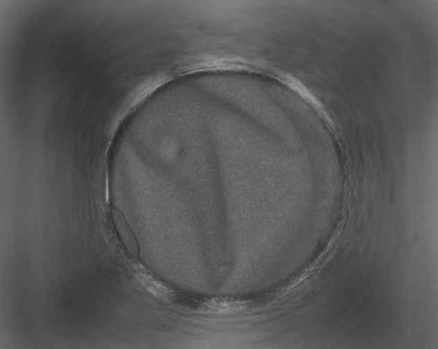 X0000082941269200702222237