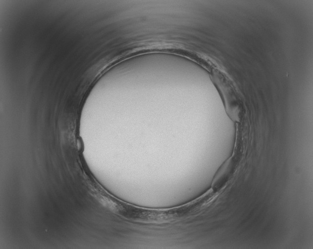 X0000082941273200702222237