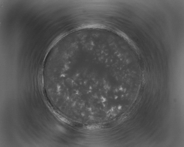 X0000082941274200702222237