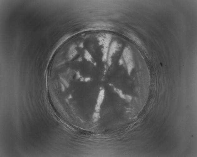 X0000082941275200702222237