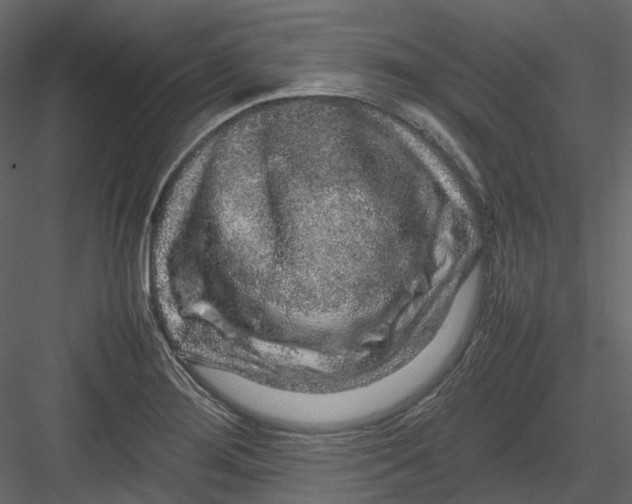 X0000082941276200702222237