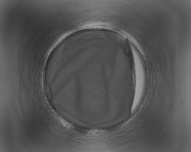 X0000082941277200702222237