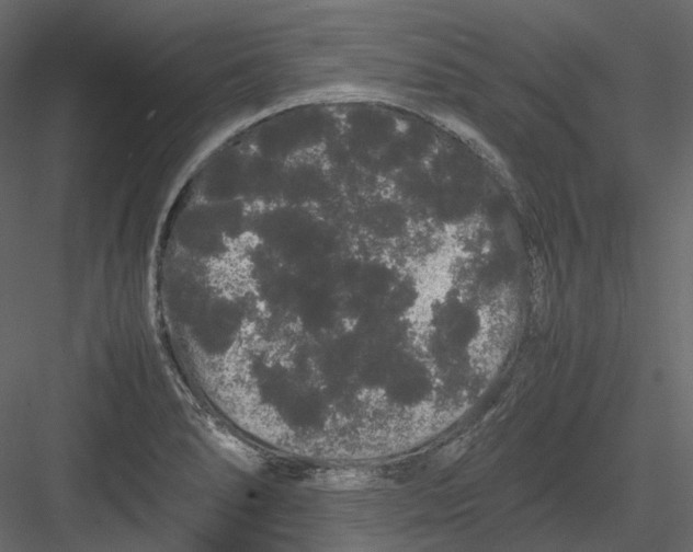 X0000082941278200702222237