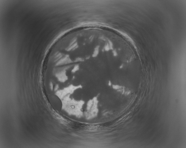 X0000082941279200702222237