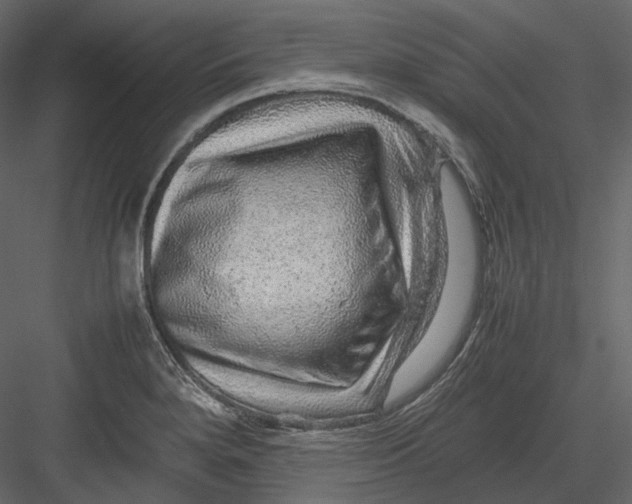 X0000082941280200702222237