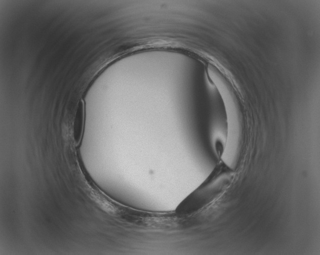 X0000082941281200702222237