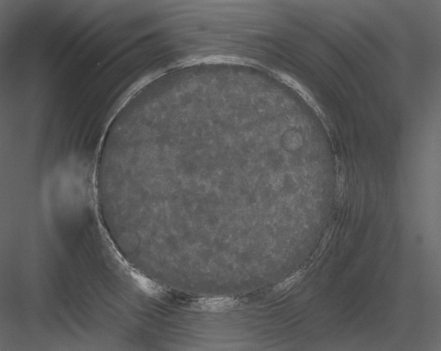 X0000082941282200702222237