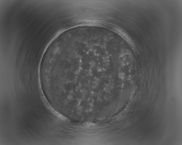 X0000082941283200702222237