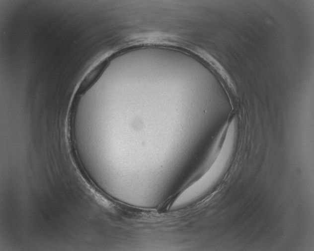 X0000082941285200702222237