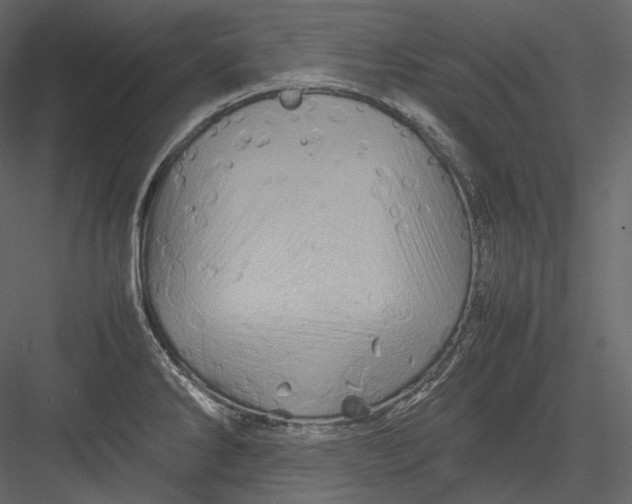 X0000082941286200702222237