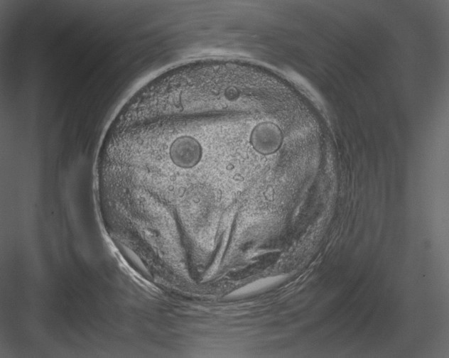 X0000082941287200702222237