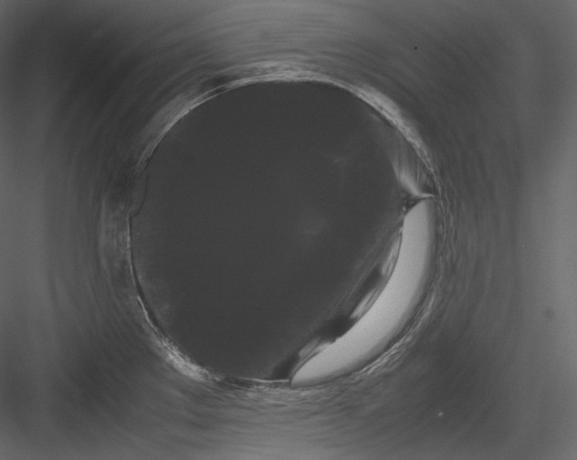 X0000082941289200702222237