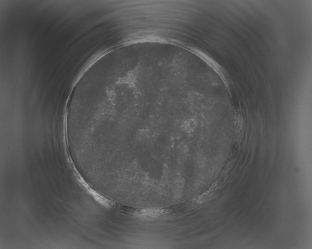 X0000082941290200702222237