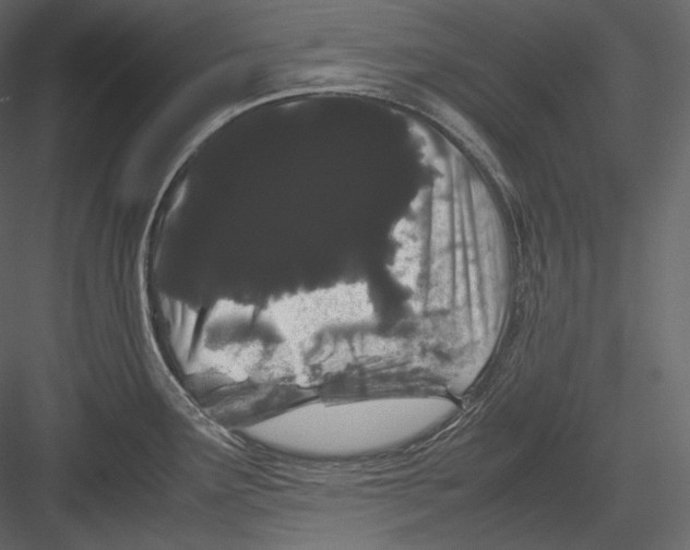 X0000082941291200702222237