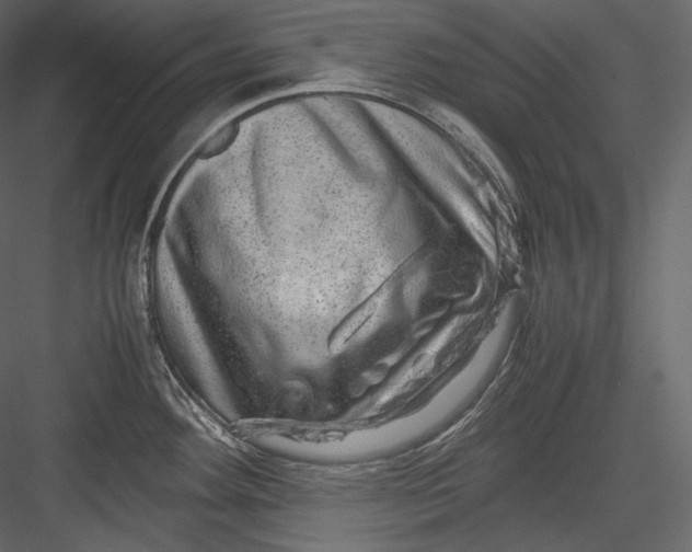 X0000082941292200702222237