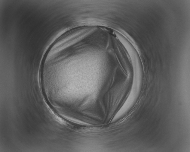 X0000082941293200702222237