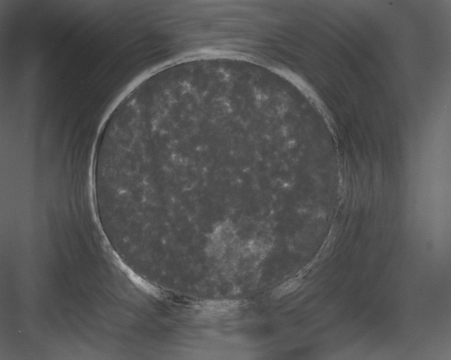 X0000082941294200702222237