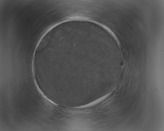 X0000082941295200702222237