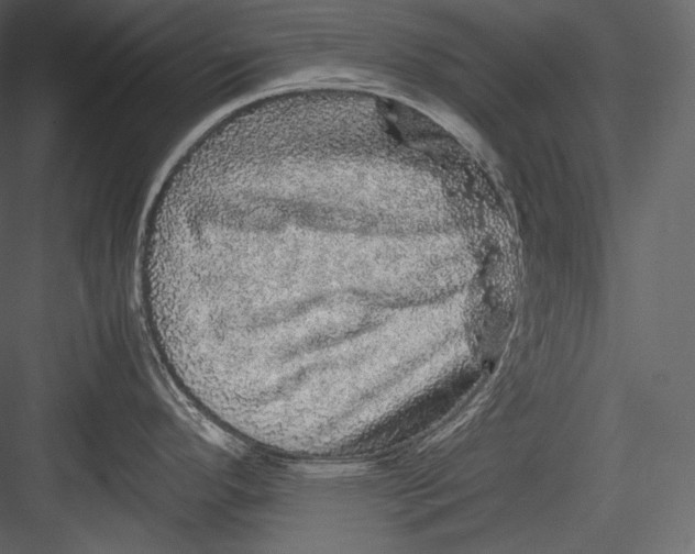 X0000082941296200702222237