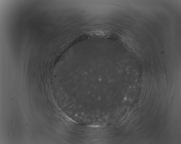 X0000082941297200702222236