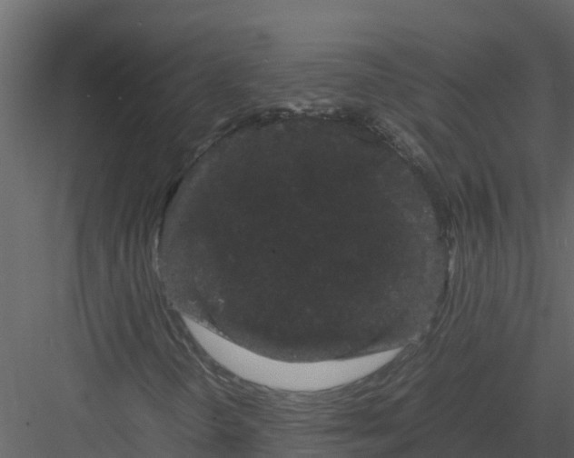 X0000082941298200702222236