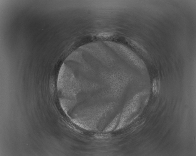 X0000082941299200702222236