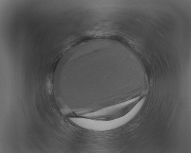 X0000082941300200702222236