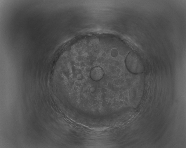 X0000082941302200702222236