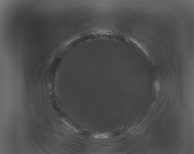 X0000082941303200702222236