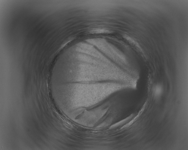 X0000082941305200702222236