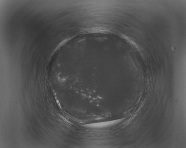 X0000082941306200702222236