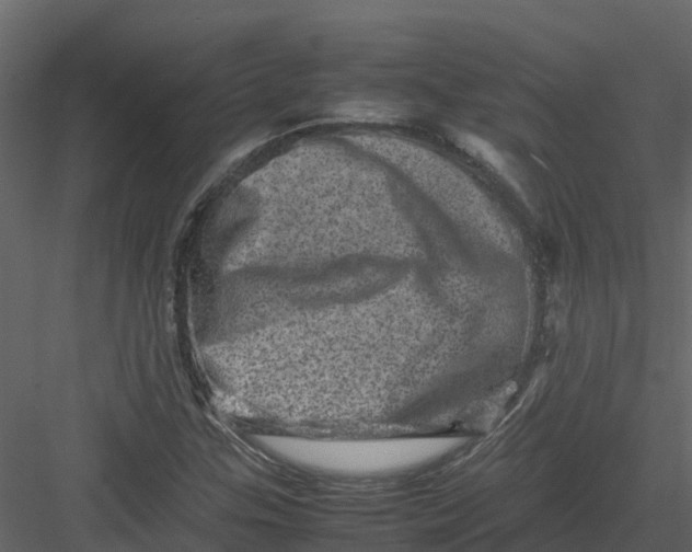 X0000082941307200702222236