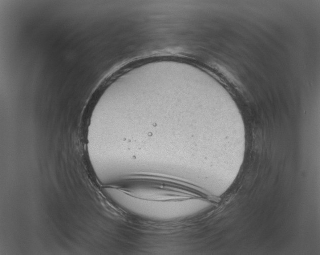 X0000082941308200702222236