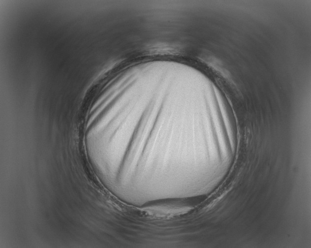 X0000082941309200702222236