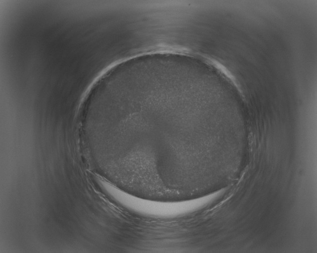 X0000082941310200702222236