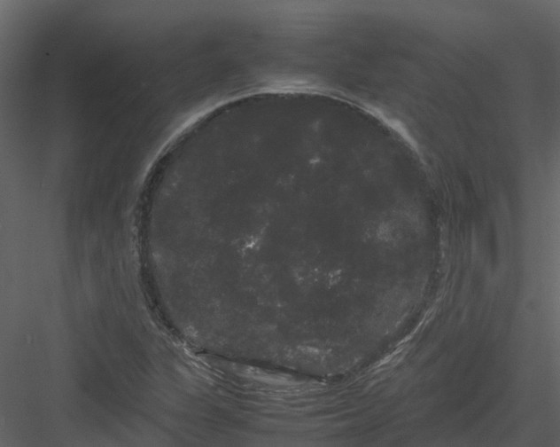 X0000082941311200702222236