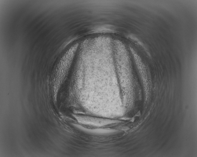 X0000082941313200702222236