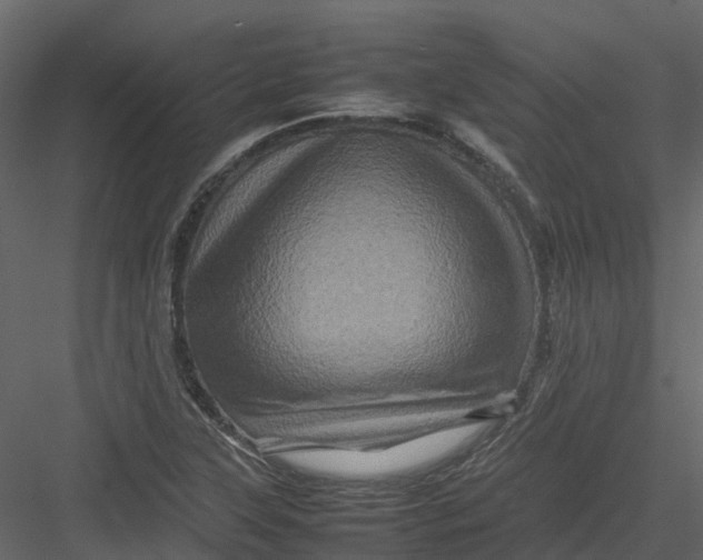 X0000082941315200702222236